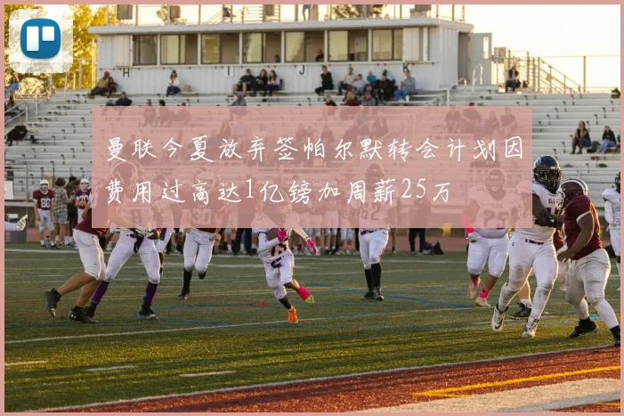 曼联今夏放弃签帕尔默转会计划因费用过高达1亿镑加周薪25万