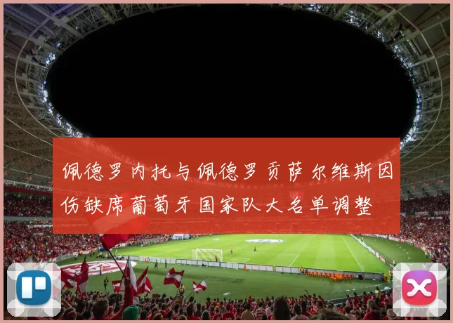 佩德罗内托与佩德罗贡萨尔维斯因伤缺席葡萄牙国家队大名单调整
